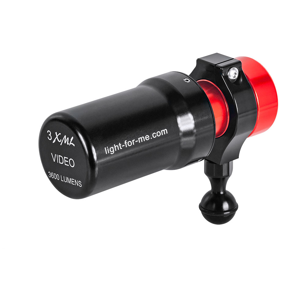 Light For Me 3XML Video Light Light For Me 3XML Video Light
