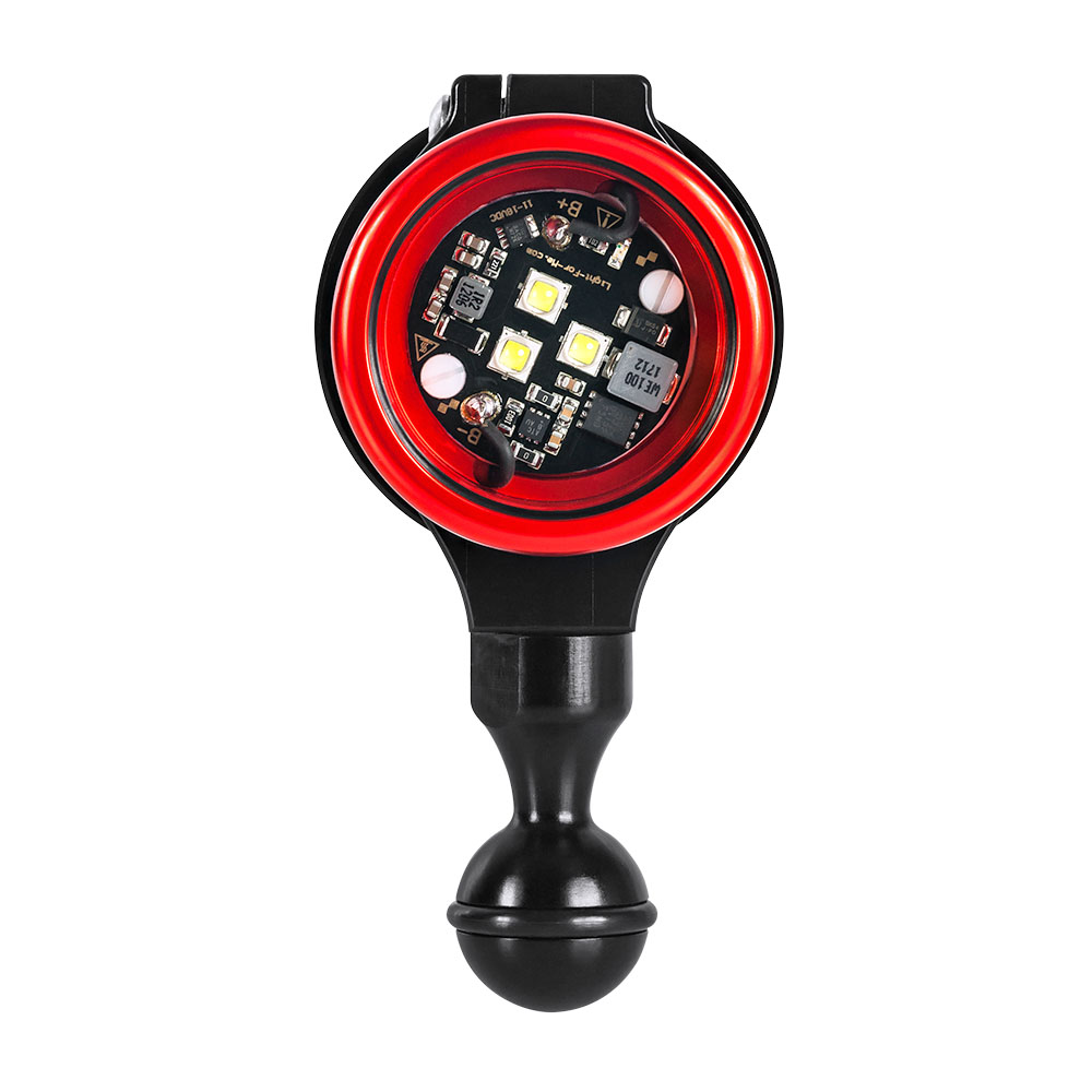 Light For Me 3XML Video Light Light For Me 3XML Video Light