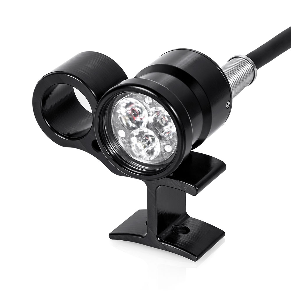 Light For Me 3XML Alexandra RCA Head