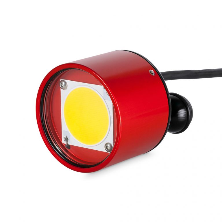 Light For Me Redstart Mini Video Light